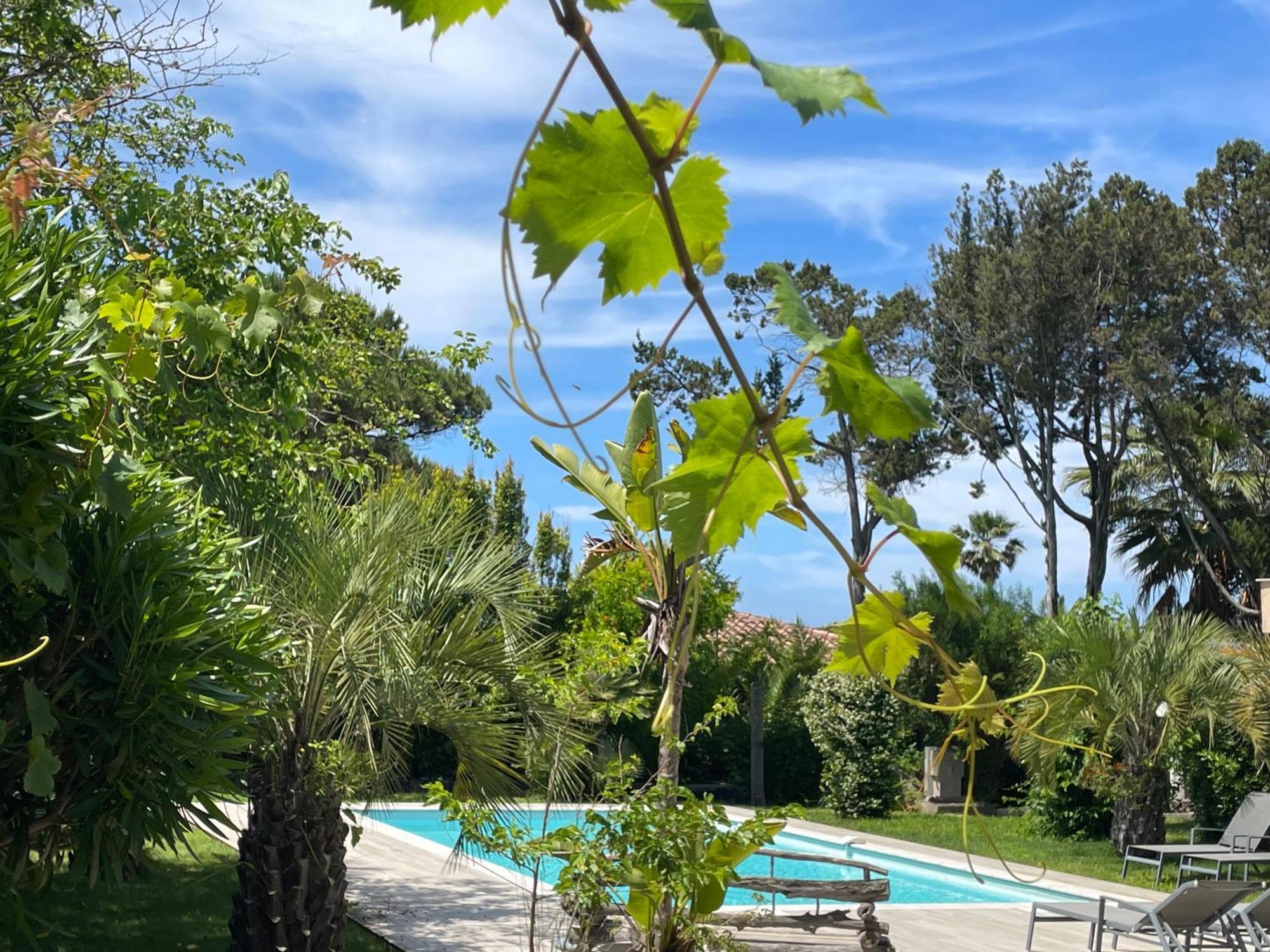 Villa Macalia Pietrosella Eksteriør bilde